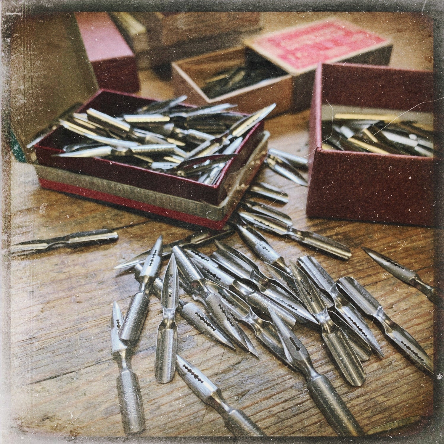 PLUME - Ernest & Célestin 