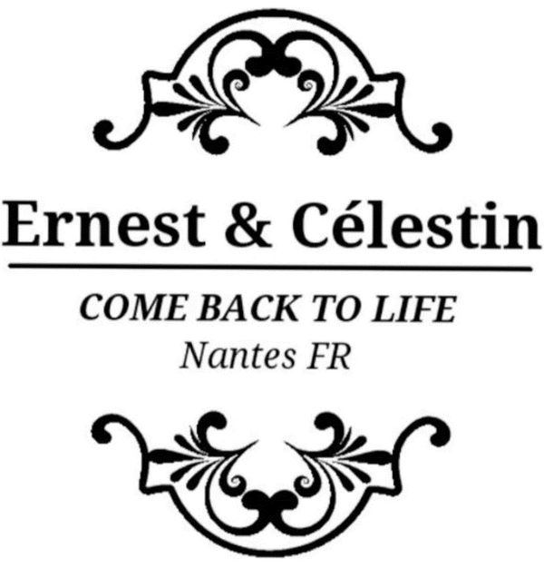 Ernest & Célestin 