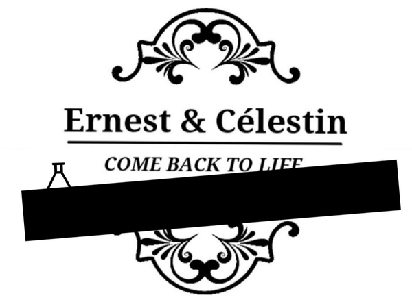Ernest & Célestin 