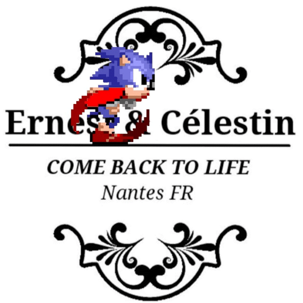 Ernest & Célestin 