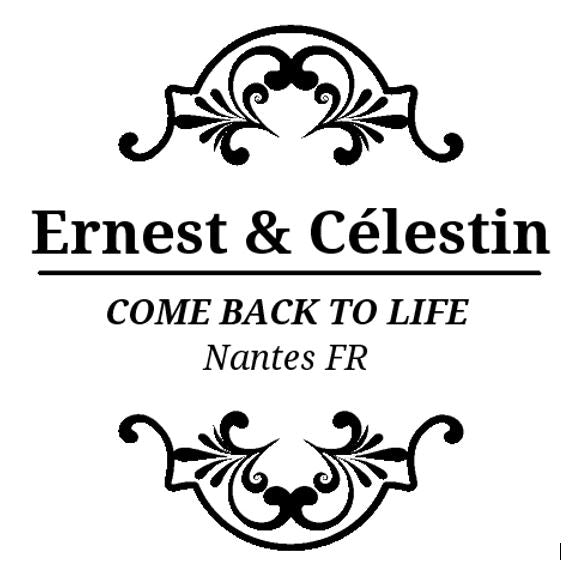 Ernest & Célestin 