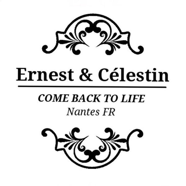 Ernest & Célestin 