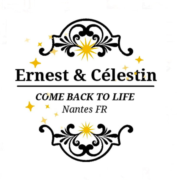 Logo Ernest et Célestin étoiles