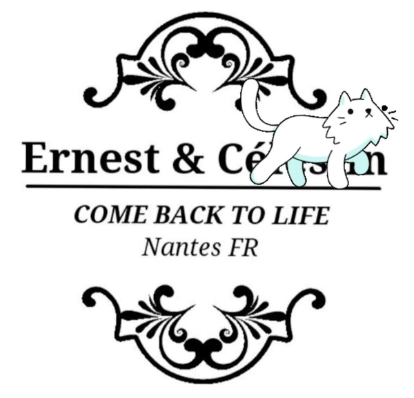 Logo recyclage Made in France bijoux offrir cadeau Ernest et Celestin