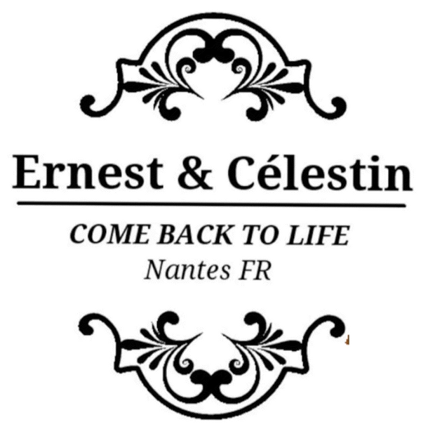 Logo recyclage Made in France bijoux offrir cadeau Ernest et Celestin